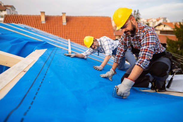 Best Storm Damage Roof Repair  in Aviston, IL
